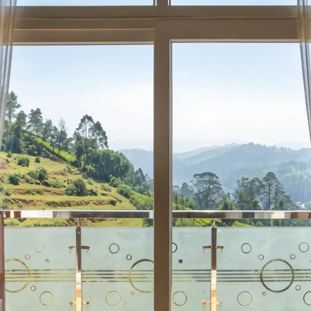 Paradise Point Ooty