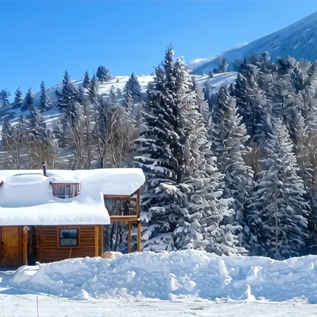 Log Cabin with Hot Tub Overlooking Rock Creek and Beartooth Mountains