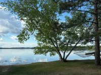 Cozy 2-bedroom cabin North of Bemidji - Chalets