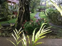 1 bedroom condo, kitchen, lanai, Princeville