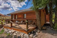 Charming riverfront 2-bedroom cabin in enchanting Dubois with WiFi - Chalets