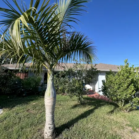 Paradise!Canal-River front heated pool house with Gulf ofMexico access.Remodeled