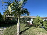 Paradise!Canal-River front heated pool house with Gulf ofMexico access.Remodeled - 3-Star