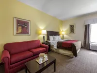 Comfort Inn & Suites Ξενοδοχεία στην πόλη McDuffie County