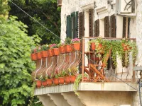 Una Apartments Hotels in Kotor