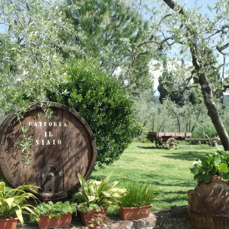 Agriturismo IL Viaio