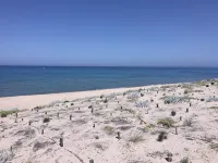 ROSA DEI VENTI - SAN PIETRO A MARE - Wifi