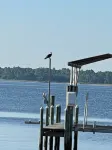 Ochlockonee Bay Waterfront Home 200 ft pier 1st floor over looking the bay - Wi-Fi