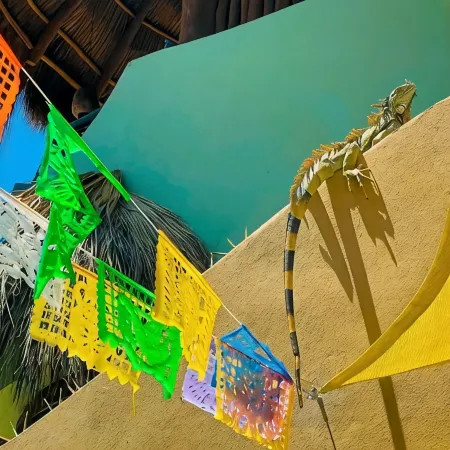 Casa Boho 1