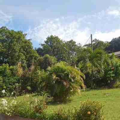 Up there in the garden - Villa with sea and mountain views - Deshaies Hotel Exterior