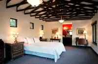 Exceptional Estate Vineyards in Healdsburg Sonoma County - Villas