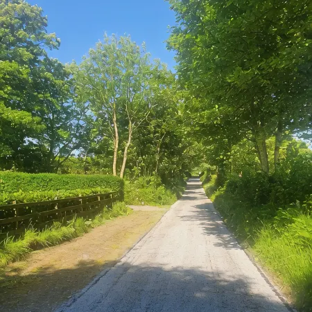 Family & Pet Friendly Restored Cottage in East Mayo with   Bord Failte Award