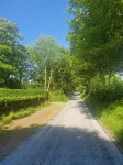 Family & Pet Friendly Restored Cottage in East Mayo with   Bord Failte Award - 홈스테이