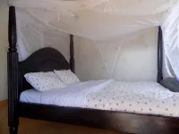 Livani Beach Motel - Motels