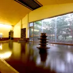 国際佐渡観光ホテル 八幡館 - 温泉