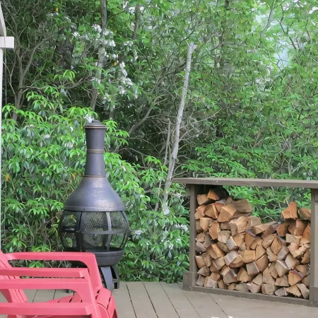 Cozy Ridge Top Mountain Cabin - A World Away