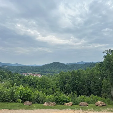 Nacoochee 3, Cozy cabin, close to town, walking trails, winery, adventures