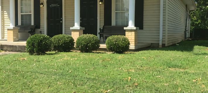WKU, Beechbend & BG Visitors- This Suite Retreat is For YOU! Ξενοδοχεία στην πόλη Warren County
