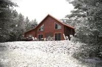 Brand NEW Cabin in the Pines w Private Lake - Chalets
