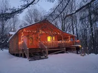 Newly built cabin in cozy wooded setting - Chalets