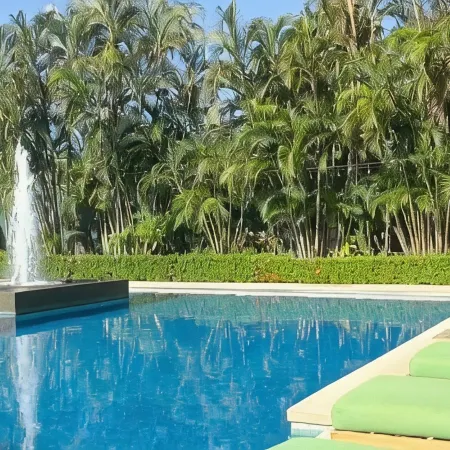 The Palms at Coco Beach