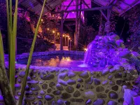 Hotel Casa del Arbol Manuel Antonio - Adults Only Các khách sạn gần Sân vận động Alberto Braglia Stadium