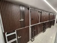 墨西哥城膠囊旅館 - 膠囊旅館
