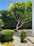 Fabulous 3 Bed 3 Bath Villa With Large heated 10M Pool .Heating extra charge - Homestays
