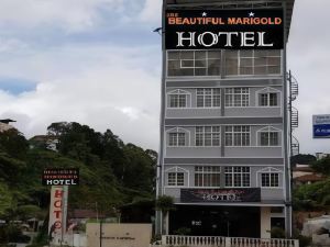 The Beautiful Marigold Hotel