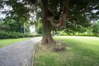 Kilmaronock Manse B&B Hotel di Balmaha