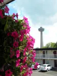 Fairway Inn by the Falls
