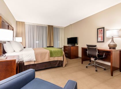 Comfort Inn & Suites Omaha Central