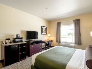 Cobblestone Inn & Suites - Vinton, La