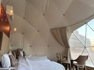 Luxury Purple Bubble Tents