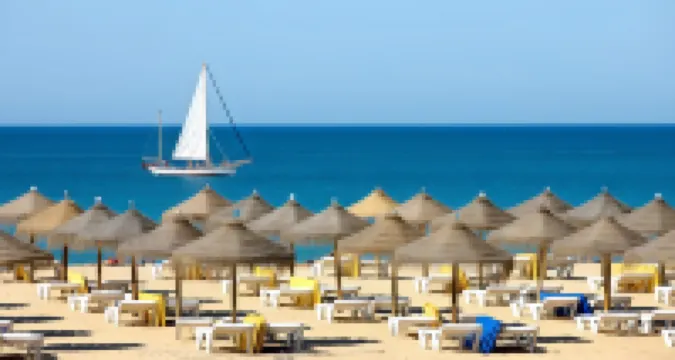 The Navigator - Olympus