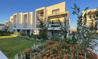 Modern Amenities and Comfort in Sithonia