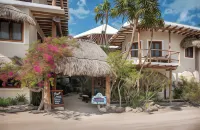 Hotel Mawimbi Hotels near Centro de Promoción de Cultura Ambiental, Museo Comunitario "Tiburón Ballena", CONANP.