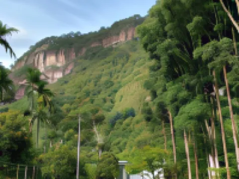 Orau Asthana Hotels in Harau