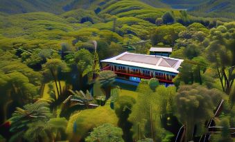 Daintree Manor B&B