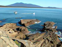 Bermagui Motor Inn Hotels in Bermagui