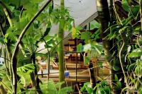 Punta Brava Hotels in 