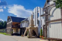 Festival Park Resort Отели в г. 