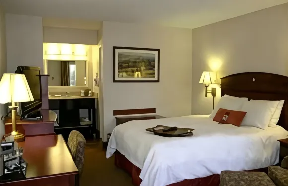 希爾頓歡朋酒店-多爾頓