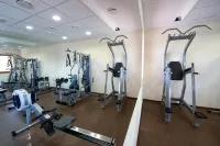 Hotel Karpatsky Dvor Lozorno - 피트니스 시설