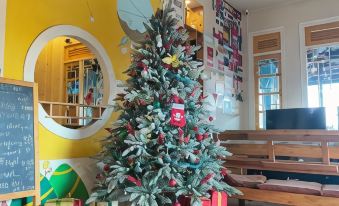 Tigon Dalat Hostel