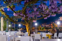 Hotel Stazione Sul Lago di Iseo Hotels in Sarnico