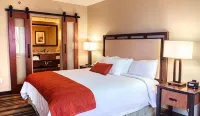 Amicalola Falls State Park and Lodge - Homestays