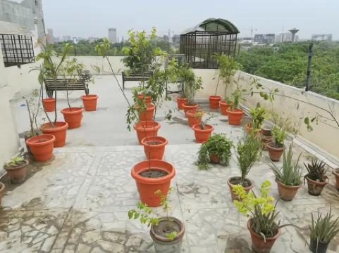 王子宮殿綠地酒店