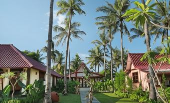 PinkCoco Gili Air - Constant Surprises & for Cool Adults Only