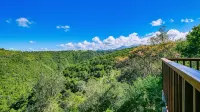 Teniqua Treetops - Mountain view